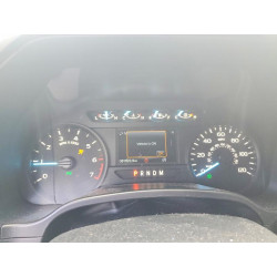 2020 FORD F-150 1FTEW1EP7LFB74309 46630346