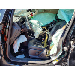 2020 FORD ECOSPORT MAJ6S3JL0LC354009 49045296