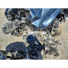 2020 FORD ECOSPORT MAJ6S3JL0LC354009 49045296