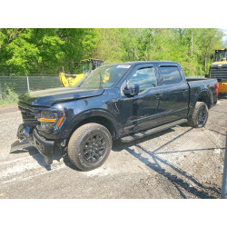 2025 FORD All Models 1FTFW3LD8SFB81101 49832396