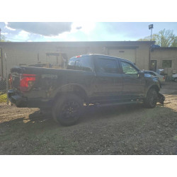 2025 FORD All Models 1FTFW3LD8SFB81101 49832396