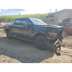 2025 FORD All Models 1FTFW3LD8SFB81101 49832396