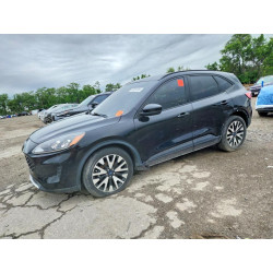 2020 FORD ESCAPE 1FMCU0BZ9LUC22557 53929706