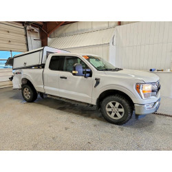 2021 FORD F-150 1FTFX1E5XMKD83441 48625466