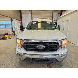 2021 FORD F-150 1FTFX1E5XMKD83441 48625466