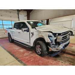 2021 FORD F-150 1FTFW1ED7MFC60201 54403036