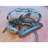 2024 FORD MUSTANG 3FMTK3SU2RMA15940 55567946