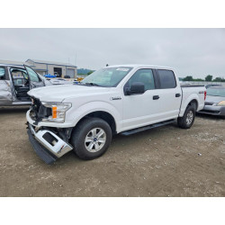 2020 FORD F-150 1FTEW1E55LFC09086 53552876