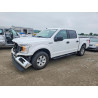 2020 FORD F-150 1FTEW1E55LFC09086 53552876