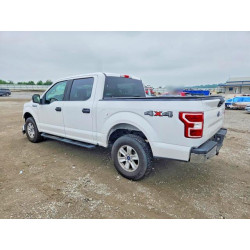 2020 FORD F-150 1FTEW1E55LFC09086 53552876