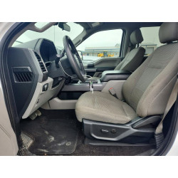 2020 FORD F-150 1FTEW1E55LFC09086 53552876