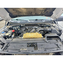 2020 FORD F-150 1FTEW1E55LFC09086 53552876
