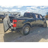 2024 FORD All Models 1FT8W2BT2RED80284 49884796