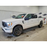 2023 FORD F-150 1FTEW1EP0PKF10833 50794546