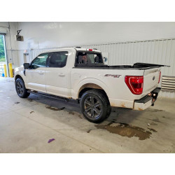 2023 FORD F-150 1FTEW1EP0PKF10833 50794546
