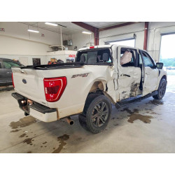 2023 FORD F-150 1FTEW1EP0PKF10833 50794546