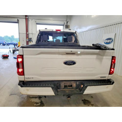2023 FORD F-150 1FTEW1EP0PKF10833 50794546