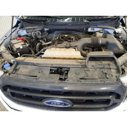 2023 FORD F-150 1FTEW1EP0PKF10833 50794546