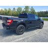 2021 FORD F-150 1FTFW1ED5MFB43412 53244176