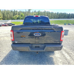 2021 FORD F-150 1FTFW1ED5MFB43412 53244176