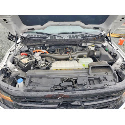 2024 FORD All Models 1FTFW3LD4RFB58523 76112065