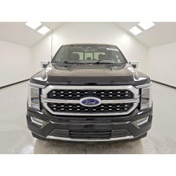 2021 FORD F-150 1FTEW1C50MFB61713 48760386