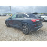 2021 FORD ESCAPE 1FMCU0LZ1MUA67518 49611856