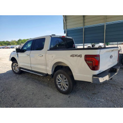 2025 FORD F150 LARIA 1FTFW5L88SKD67484 49269156
