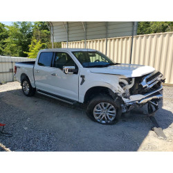 2025 FORD F150 LARIA 1FTFW5L88SKD67484 49269156