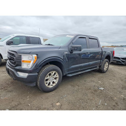 2021 FORD F150 1FTFW1P88MKE68613 47967876