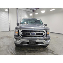 2023 FORD F-150 1FTFW1E81PFC50285 53455196