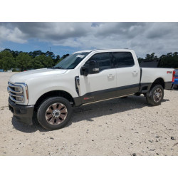 2024 FORD All Models 1FT8W2BM6REF59615 55860026