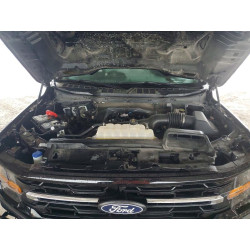 2025 FORD All Models 1FTEW3KP9SKE53802 56081646