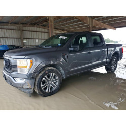 2021 FORD F-150 1FTEW1CP4MKE92061 56096016