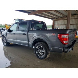 2021 FORD F-150 1FTEW1CP4MKE92061 56096016