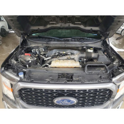 2021 FORD F-150 1FTEW1CP4MKE92061 56096016