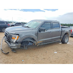2023 FORD F-150 1FTEW1CP9PKG24090 56463066