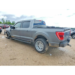 2023 FORD F-150 1FTEW1CP9PKG24090 56463066