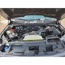 2025 FORD F150 STX 1FTEW2LP1SKF21888 56644686