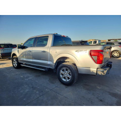 2024 FORD All Models 1FTEW3LP0RKD69229 45813516