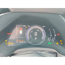 2024 LEXUS RX300 2T2BBMCA1RC051925 47874646