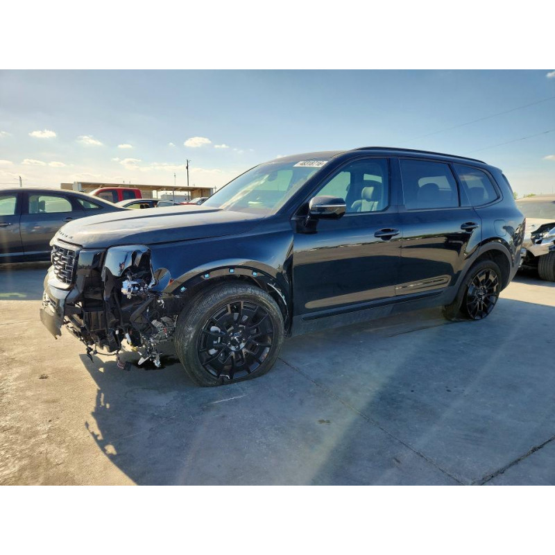 2022 KIA TELLURIDE 5XYP5DHC1NG293575 48318716