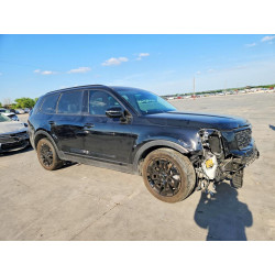 2022 KIA TELLURIDE 5XYP5DHC1NG293575 48318716
