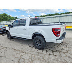 2023 FORD F150 1FTFW1E56PFC91081 57002376