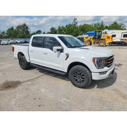 2023 FORD F150 1FTFW1E56PFC91081 57002376