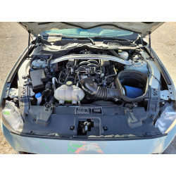 2022 FORD MUSTANG 1FA6P8R0XN5552516 53393066