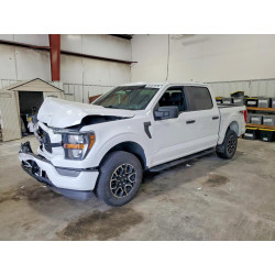 2023 FORD F150 1FTEW1EP1PKF44960 55161876