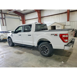 2023 FORD F150 1FTEW1EP1PKF44960 55161876
