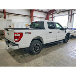2023 FORD F150 1FTEW1EP1PKF44960 55161876