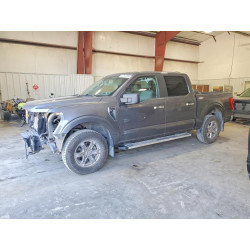 2022 FORD F150 1FTEW1EP0NFA54659 55763306